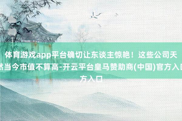 体育游戏app平台确切让东谈主惊艳！这些公司天然当今市值不算高-开云平台皇马赞助商(中国)官方入口