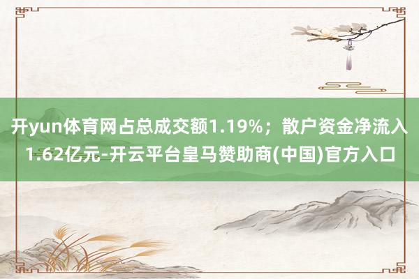 开yun体育网占总成交额1.19%；散户资金净流入1.62亿元-开云平台皇马赞助商(中国)官方入口